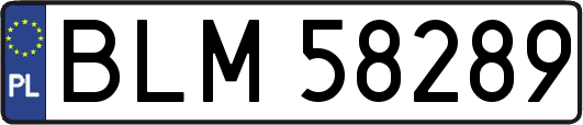 BLM58289