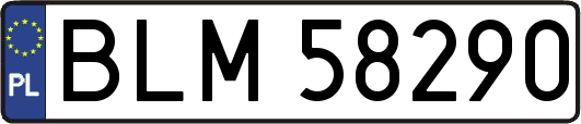 BLM58290