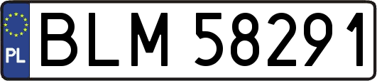 BLM58291