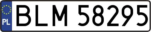BLM58295