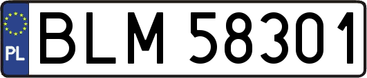 BLM58301