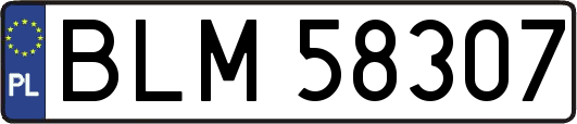 BLM58307