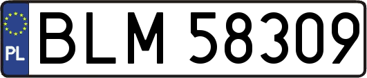 BLM58309
