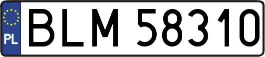 BLM58310