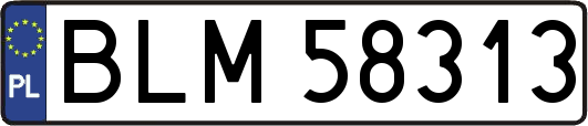 BLM58313