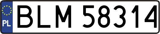 BLM58314