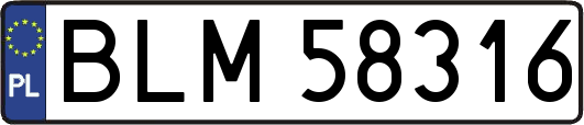 BLM58316