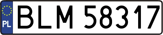BLM58317