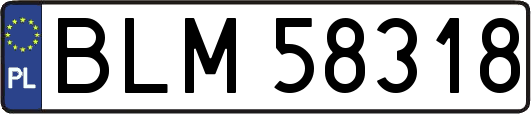 BLM58318