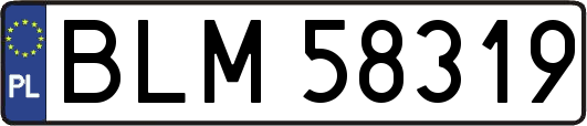 BLM58319