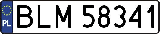 BLM58341