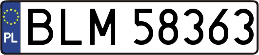 BLM58363