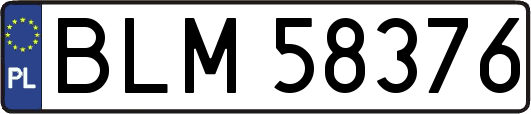 BLM58376