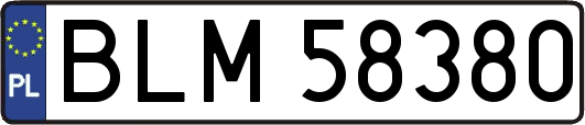 BLM58380