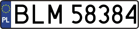 BLM58384