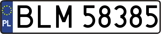 BLM58385