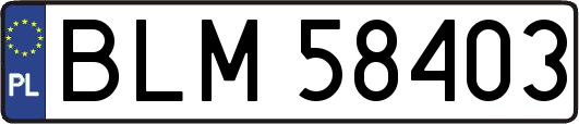 BLM58403