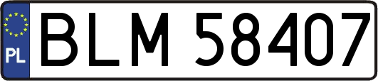 BLM58407