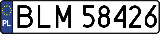 BLM58426