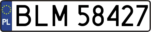 BLM58427