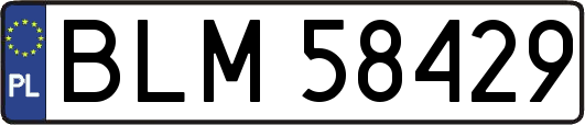 BLM58429