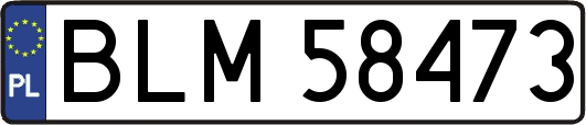 BLM58473