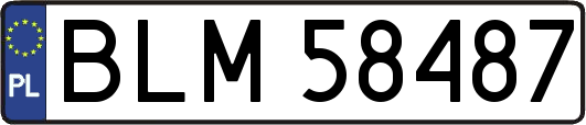 BLM58487