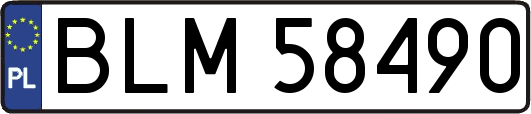 BLM58490