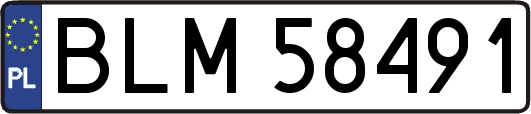 BLM58491