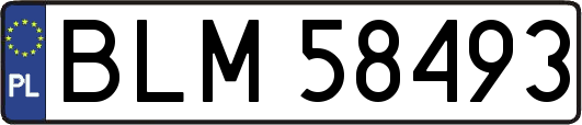 BLM58493