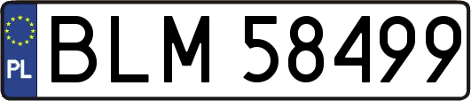 BLM58499