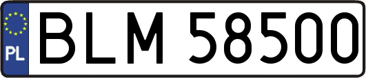 BLM58500