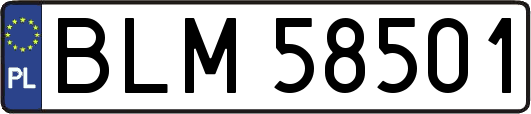 BLM58501