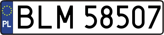 BLM58507