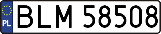 BLM58508