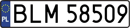 BLM58509