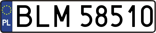 BLM58510