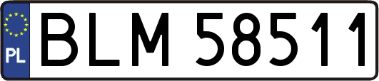 BLM58511