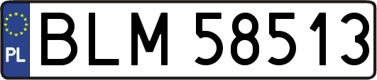 BLM58513