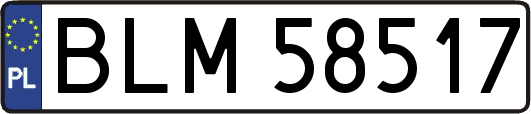 BLM58517