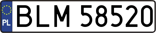 BLM58520