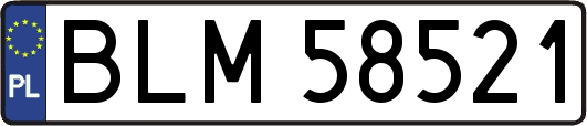 BLM58521