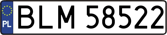 BLM58522