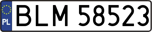 BLM58523