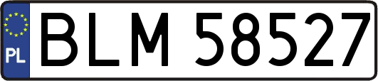 BLM58527