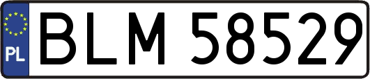 BLM58529