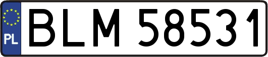 BLM58531