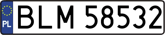 BLM58532