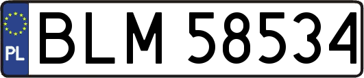BLM58534