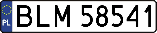 BLM58541